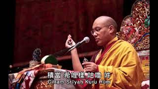 17th Karmapa Vajrasatva 大寶法王 金剛薩埵 百字明咒x21