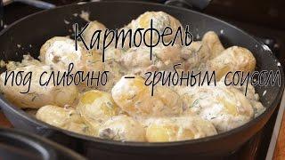 Молодой картофель под сливочно-грибным соусом | Сливочный соус с грибами
