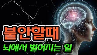 불안이 사라지지 않는 이유 I 뇌과학 감정조절법  [당신의 불안은 죄가 없다], 웬디 스즈키