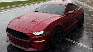 MUSTANG GT EARLY MORNING POV DRIVE IN THE RAIN️(ASMR)