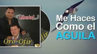 Me Haces Como el Aguila - Oro de Ofir (Audio Track)