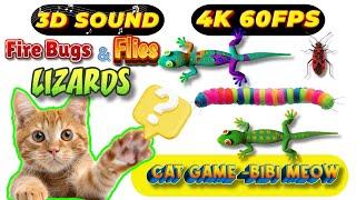 CAT GAMES TOM TV & BiBi | Ultimate Compilation Catching The LIZARDS, Flies, FireBugs11 HOURVol 119