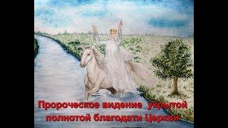 Пророческое видение укрытия  Церкви. Мурашкин Владимир.