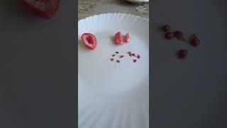 Какая на вкус карисса. #экзотическиерастения