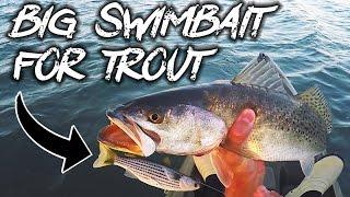 can they even eat this thing? big swimbait for big trout