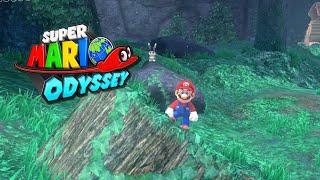 Super Mario Odyssey - Wooded Kingdom - Caught Hopping in the Forest! - 122/880 - 100% Walkthrough