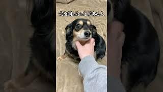 犬の触り方