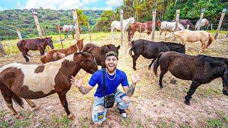 ESCOLHI MEU NOVO ANIMAL EXÓTICO PARA A FAZENDA !! ️