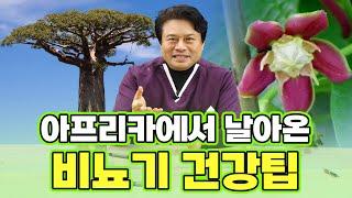 [EP.158] 아프리카 자연에서 찾은 남성 건강의 비밀 