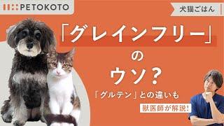 犬にグレインフリーのドッグフードが良いは嘘！理由や最適な選び方を獣医師が解説