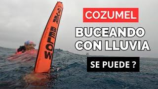 COZUMEL BUCEO en arrecife Dalila / Con Lluvia y Mal Clima /