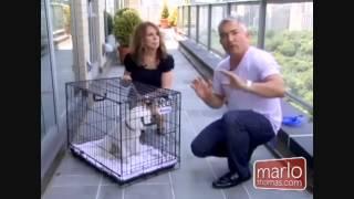 Crate Training Cesar Milan Dog Whisper