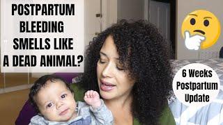 6 Week Postpartum Update  |  TMI  Postpartum Bleeding Smells Like Dead Animal? Lochia Stinks