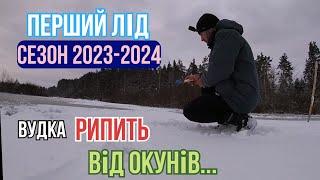 Окуні відривають мормишки і не пролазять в лунки/Зимова ловля окуня на мормишку