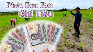 Linh Philip || Tại Sao Phải Rút Bớt Chi Tiêu Khi Thấy Ruộng Ngô Của Em Batto???