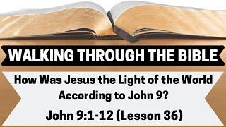 How Was Jesus the Light of the World According to John 9? [John 9:1-12][Lesson 36][WTTB]