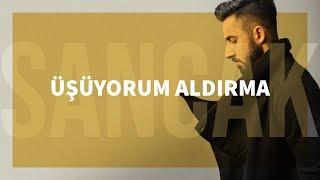 Sancak - Üşüyorum Aldırma