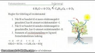 Mundtlig aflevering til modul 4