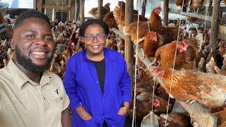 How To Start A Successful Poultry Farm With Little Capital On a Small Piece of Land & Make Millions