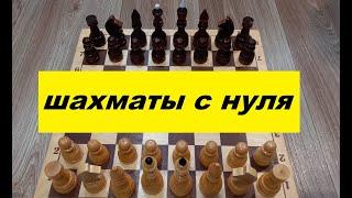 Как научиться играть в шахматы с нуля?