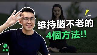 如何延緩大腦老化，提高大腦記憶力的4種主要方法 | 不老的腦 【好葉】