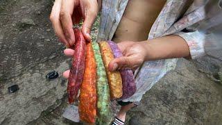 FRENCH RAINBOW SAUSAGE COOKED IN THE FOREST