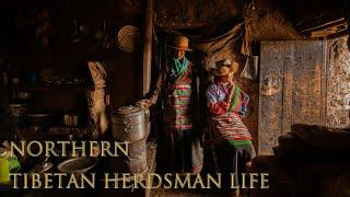 Xizang,China. It's 5 km above sea level.herdsman's lifestyle & Culture. Routine Daily Life. 4K