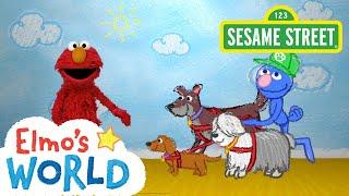 Sesame Street: Dog Walker | Elmo's World
