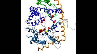 SecYEGA - BMH bond