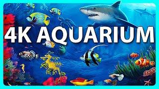The Best 4K Aquarium for Relaxation  Relaxing Oceanscapes - Sleep Meditation 4K UHD Screensaver