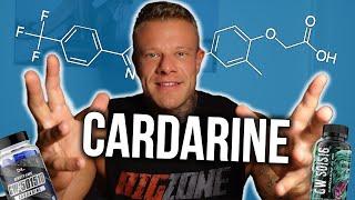 Cardarine  | Fatburner Teil 6 (2022)