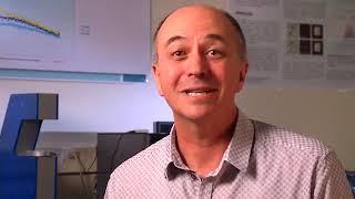 These Lenses Correct Presbyopia | PureVision 2 for Presbyopia by Bausch & Lomb