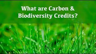 What are Carbon & Biodiversity Credits?