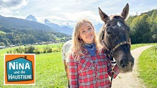 Appaloosa | Information für Kinder | Nina und die Haustiere