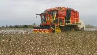 Boshiran 4MZD 6A 6 untis of Baler Model Working