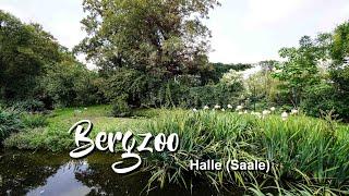 Bergzoo Halle (Saale)