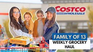 HUGE $1,000 COSTCO HAUL! SHOPPING FOR 11 KIDS!