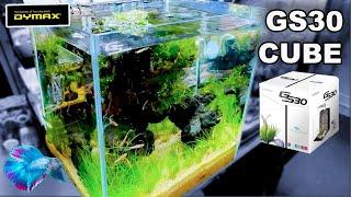 DYMAX CUBE AQUARIUM ~ Dymax GS30 Aquascape and Review!