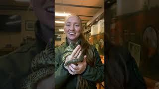 TPWDiscover | All About Snakes w/Ranger Mindy