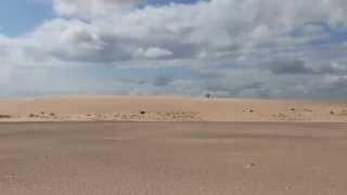The Athabasca Sand Dunes