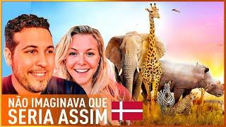VOCÊ VAI SE SURPREENDER COM A DINAMARCA: Fizemos Um Safari Na Dinamarca 