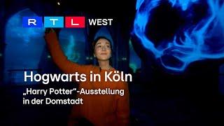 Hogwarts in Köln: Neue Ausstellung in der Domstadt | RTL WEST, 06.12.2023