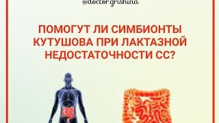 Помогут ли симбионты Кутушова при лактазной недостаточности