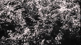 Немецкие снайперы    Люфтваффе 1944 Военные фильмы