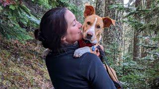 Dog Chooses His New Mom And Travels Everywhere With Her | The Dodo