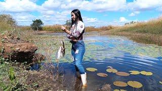 NESSE AÇUDE CADA ISCA ERA UM PEIXE DIFERENTE, FIZEMOS O ALMOÇO NA MATA