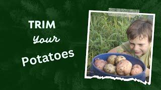 Fertilize and prune your potato crop