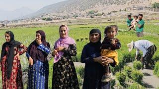 "Faraz Nasim: Hossein's emotional meeting with his brothers and family"