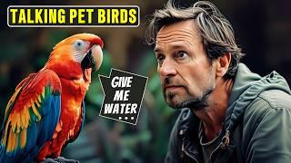 Talk Like Humans? These Pet Birds Will SHOCK You! | Pet Birds that Can Talk Like Human