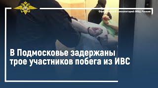 Ирина Волк: В Подмосковье задержаны трое участников побега из ИВС